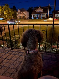 An evening on the front porch