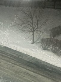 Con vista estupenda a la calle