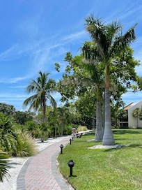 Short walk on a beautiful path to the pool