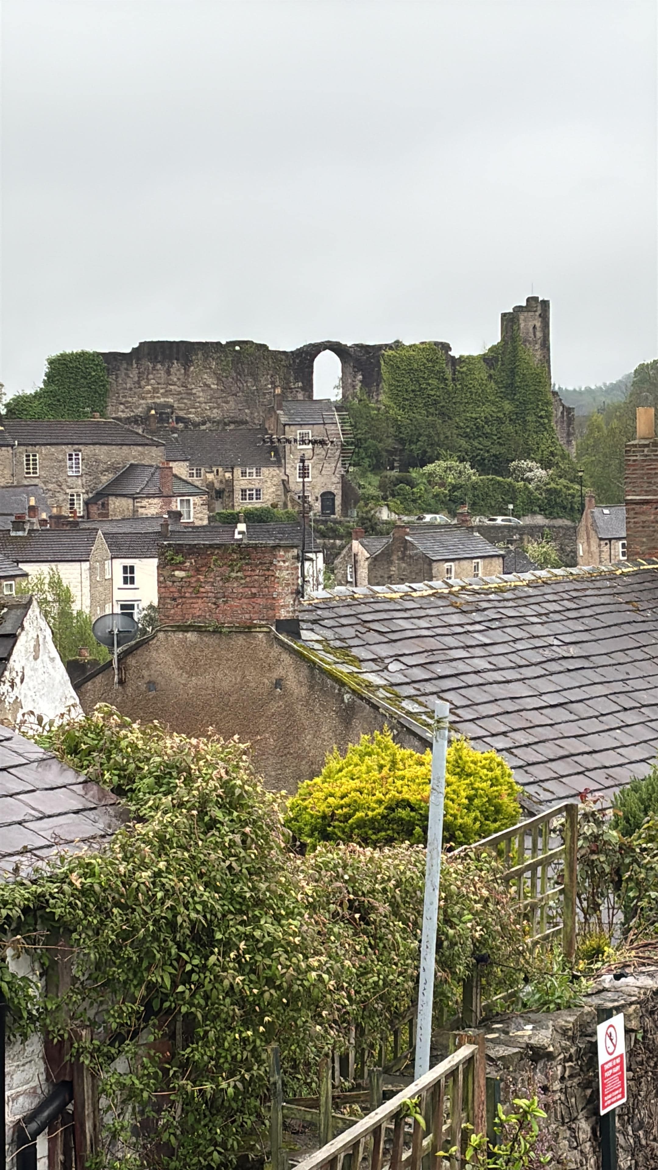 View from the beer garden 