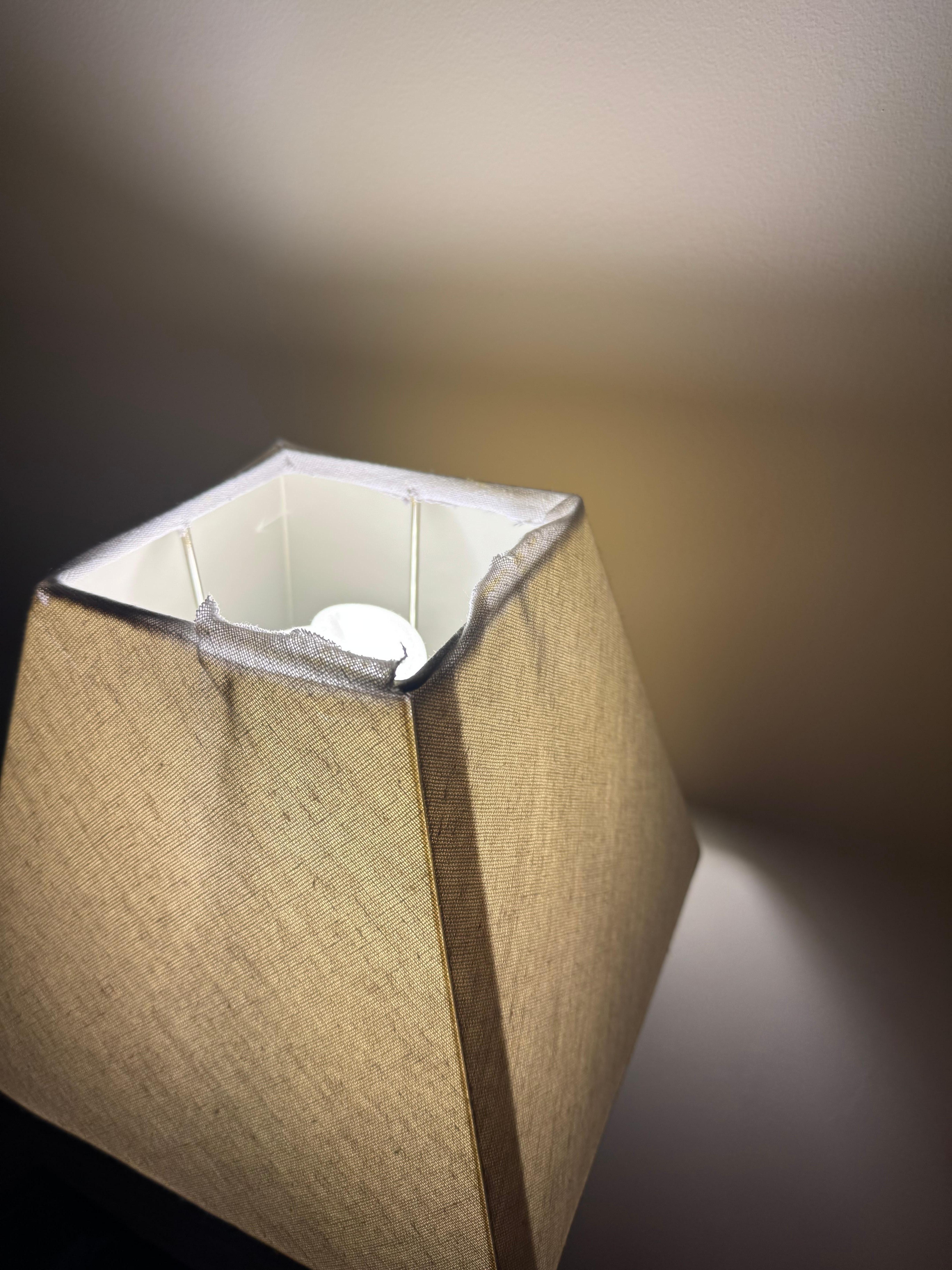 Dirty, ripped lamp shade