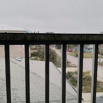 Mildew on lanai screens.