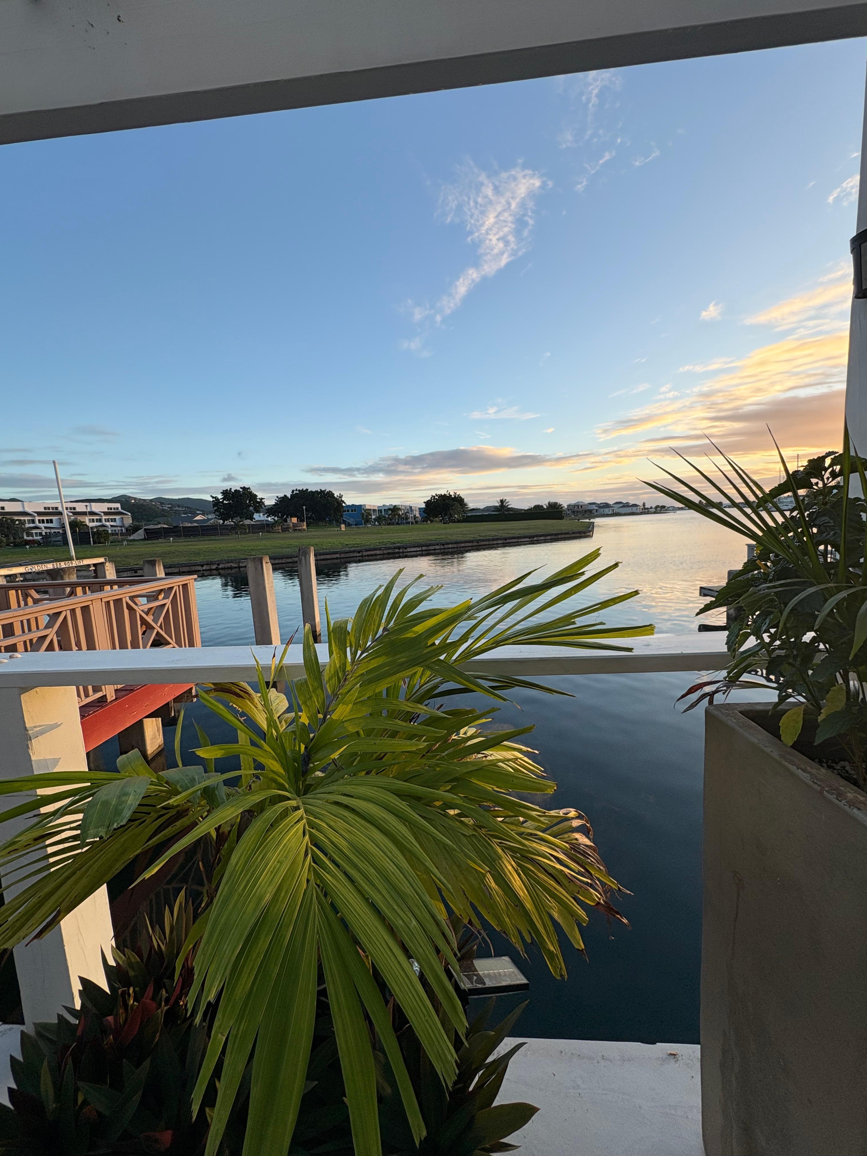 View from the verandah