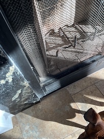 cobwebs on fireplace screen