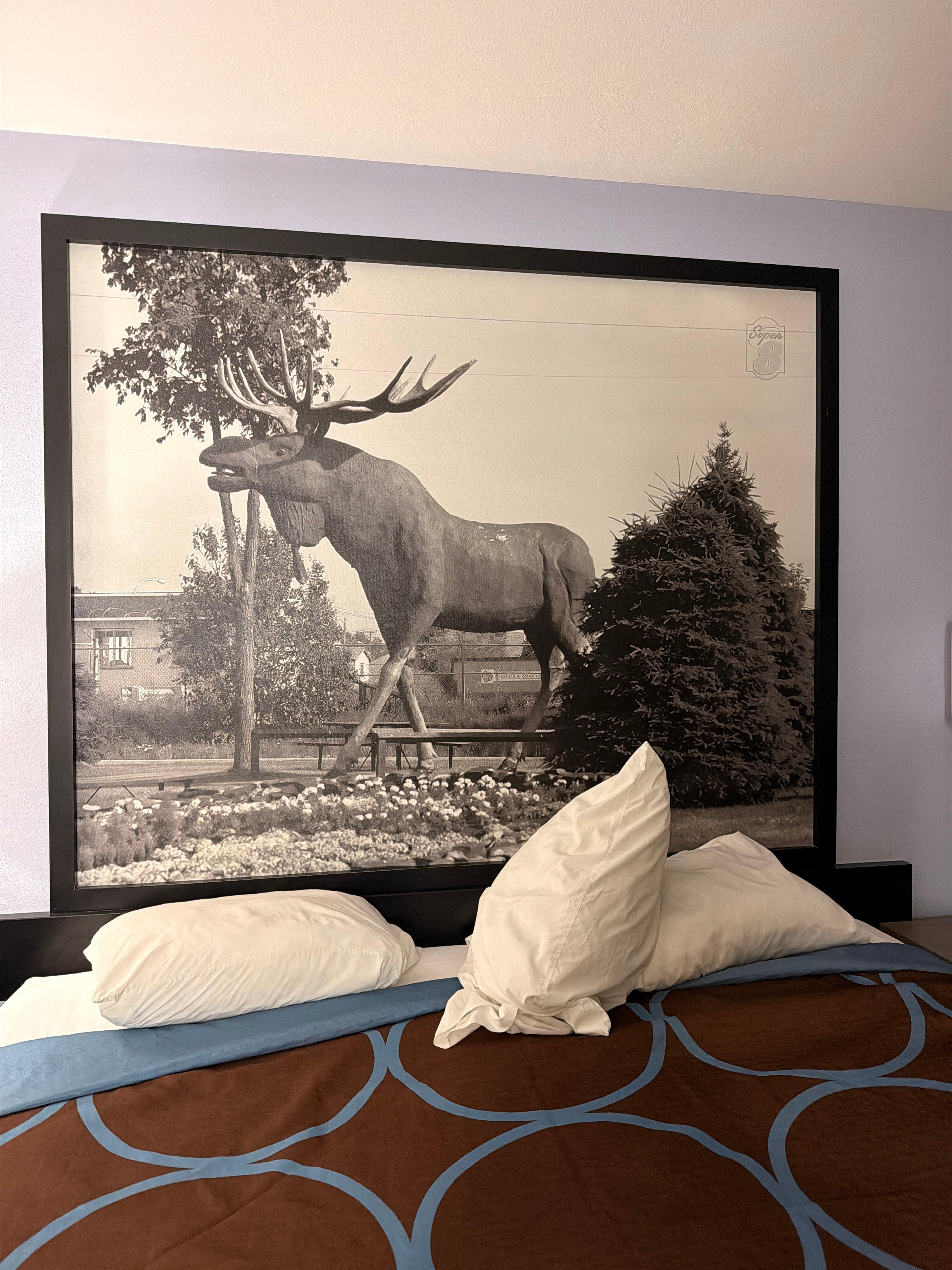 Vintage photo in room was cool! 