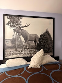 Vintage photo in room was cool!