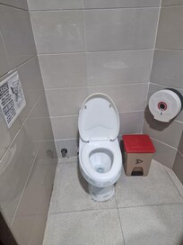 The filthy toilet