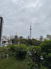在5樓庭院影到晴空塔