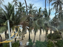 ocean view or palm tree view