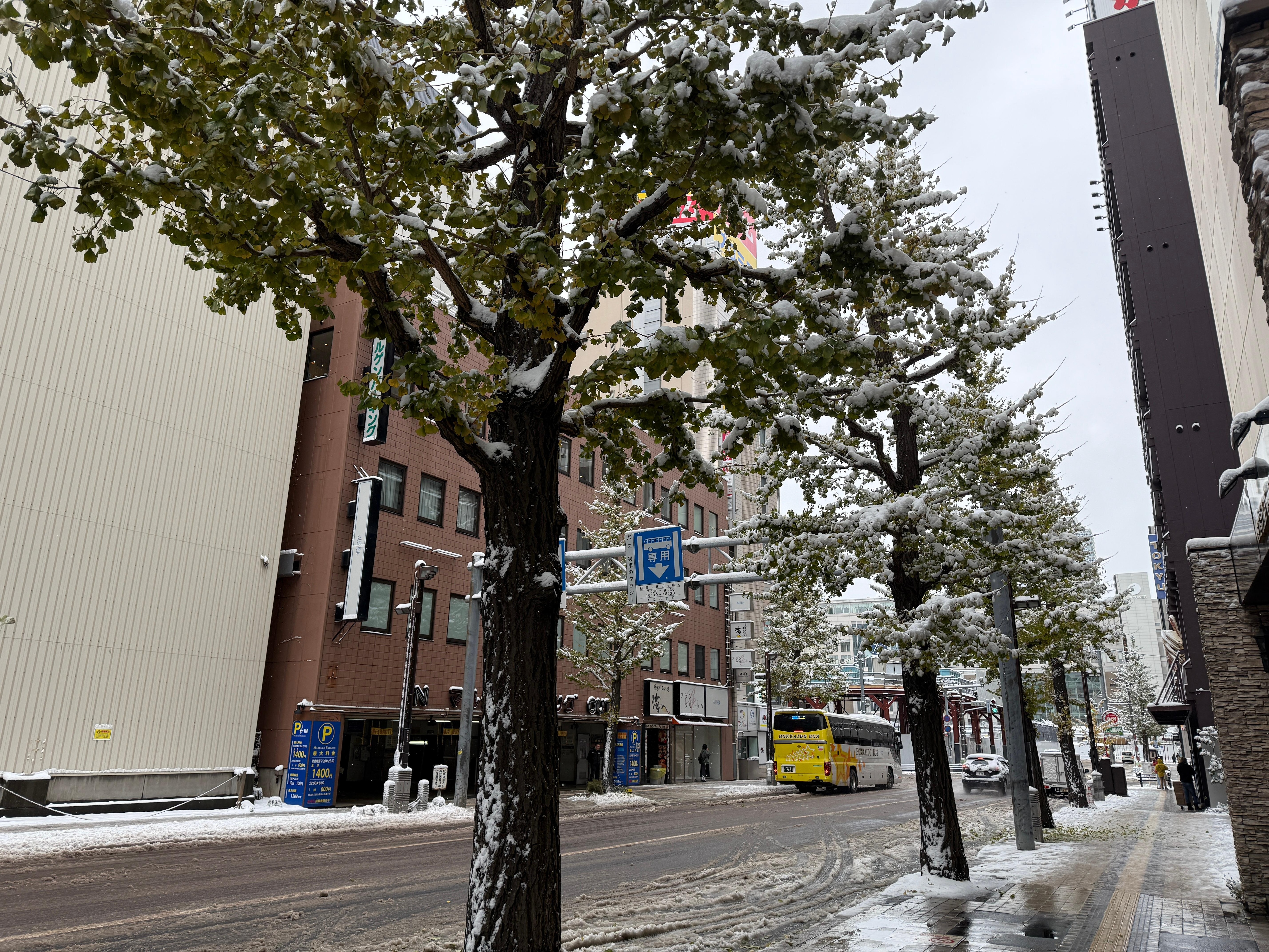 The street outside the hotel. ホテルの外の通り。
