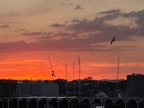 Sunsets