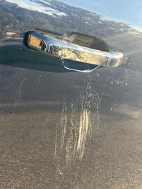 Bear attempted to get into our vehicle. Left dirt but no scratches.