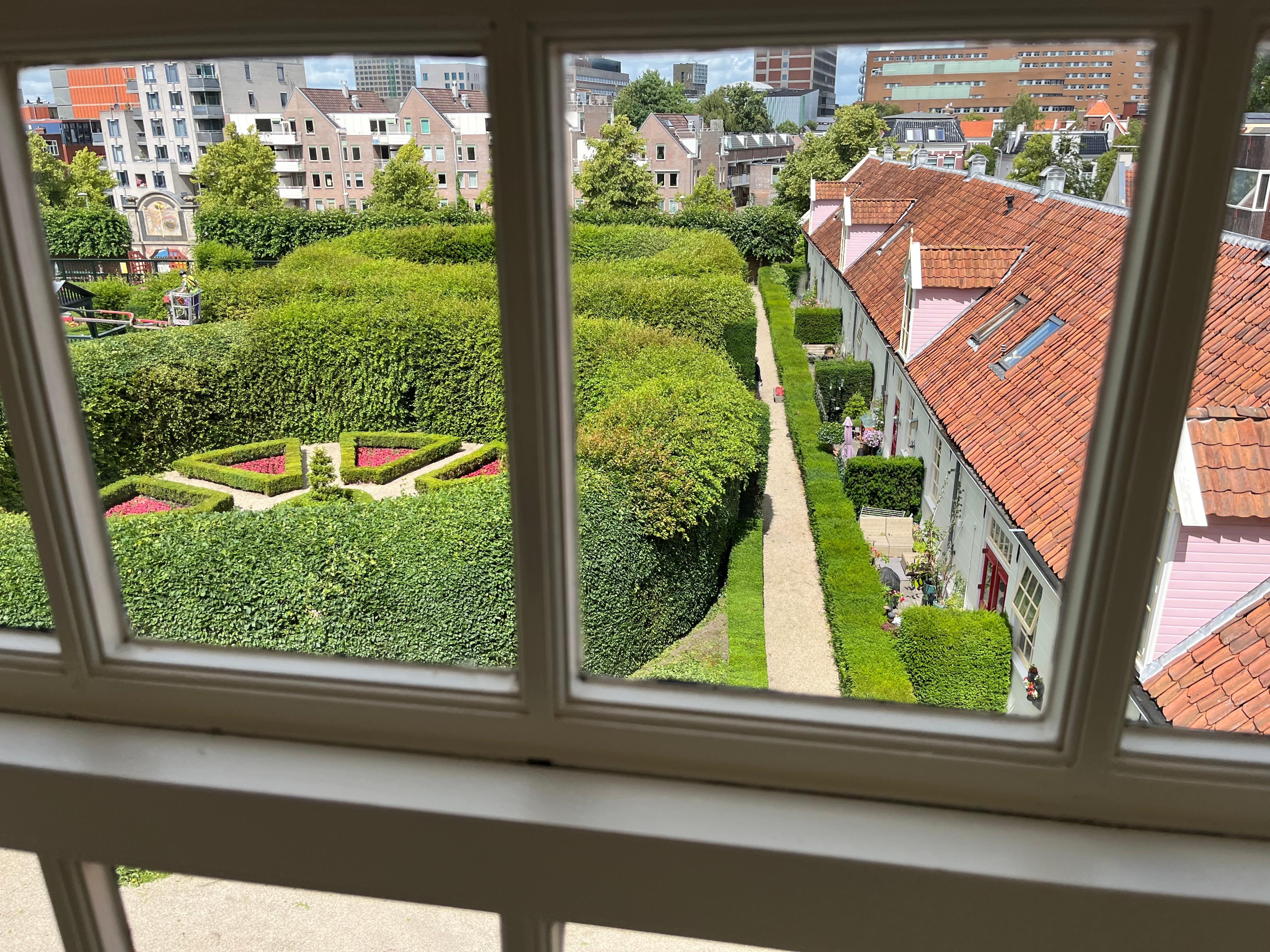 View from room 