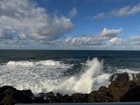This is view from the patio, ocean is right there! Couldn’t be closer.