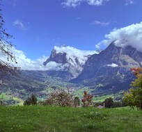 View from yard.
