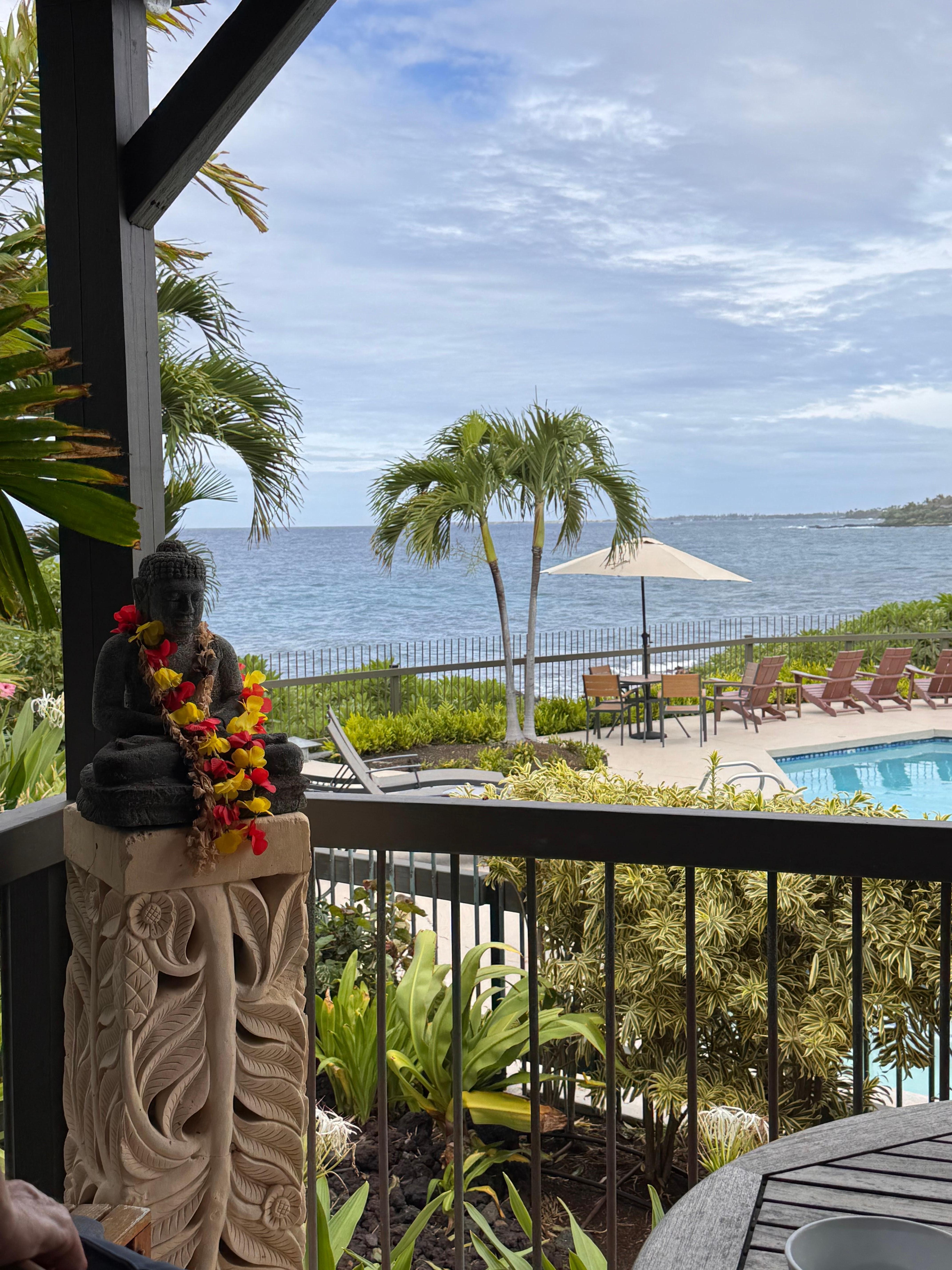 View out lower lanai/deck from LR