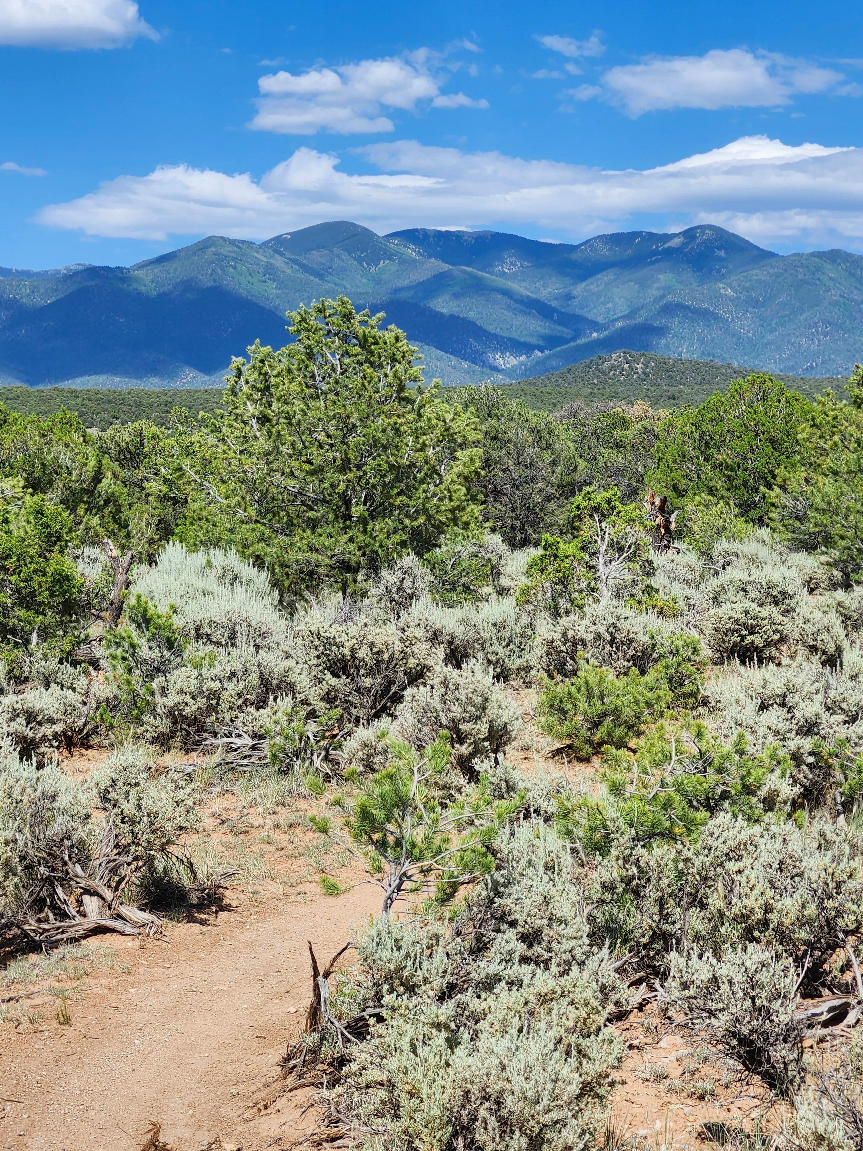 Horsethief Trail