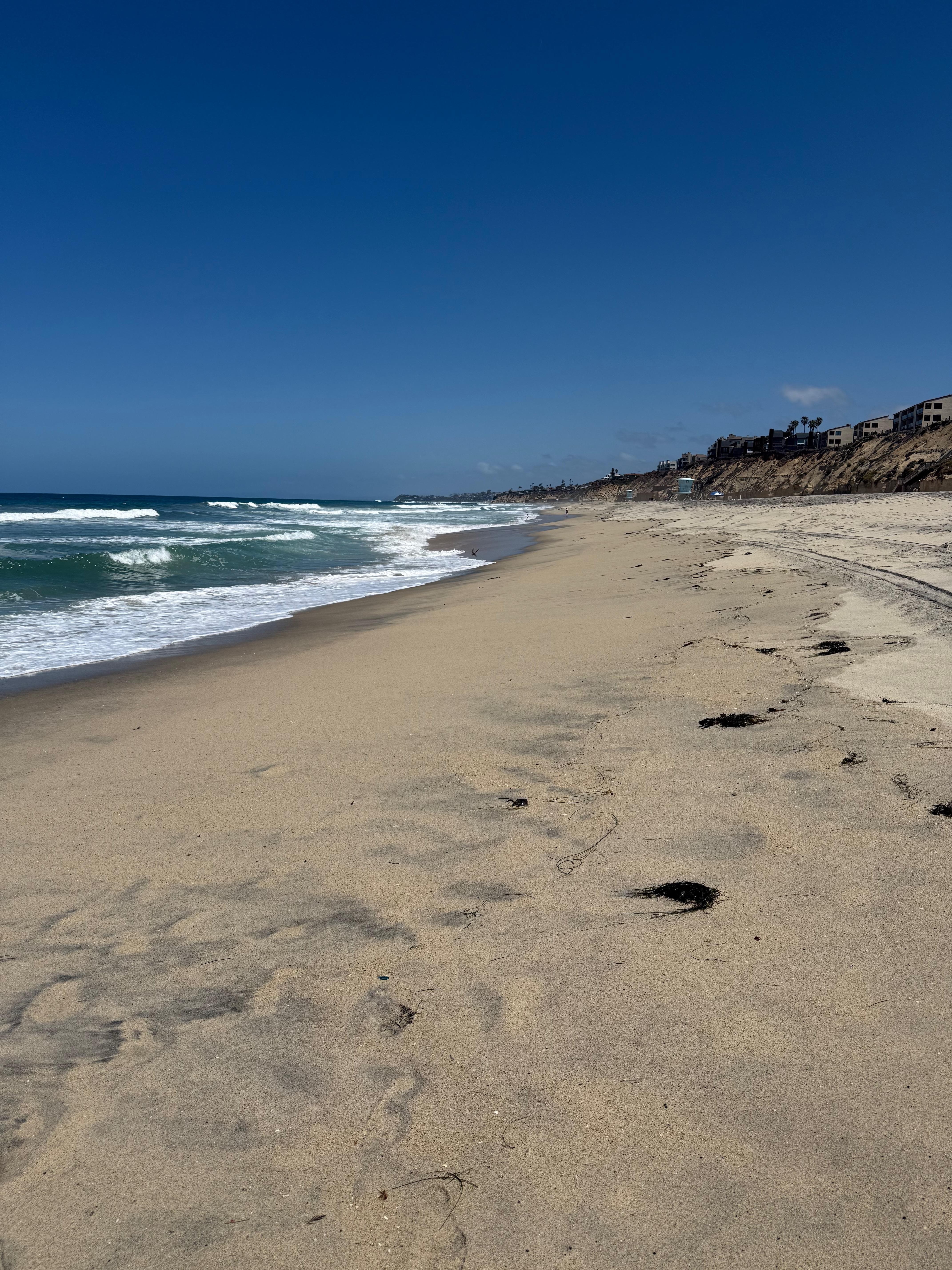 Beautiful beach for our daily walks. 
