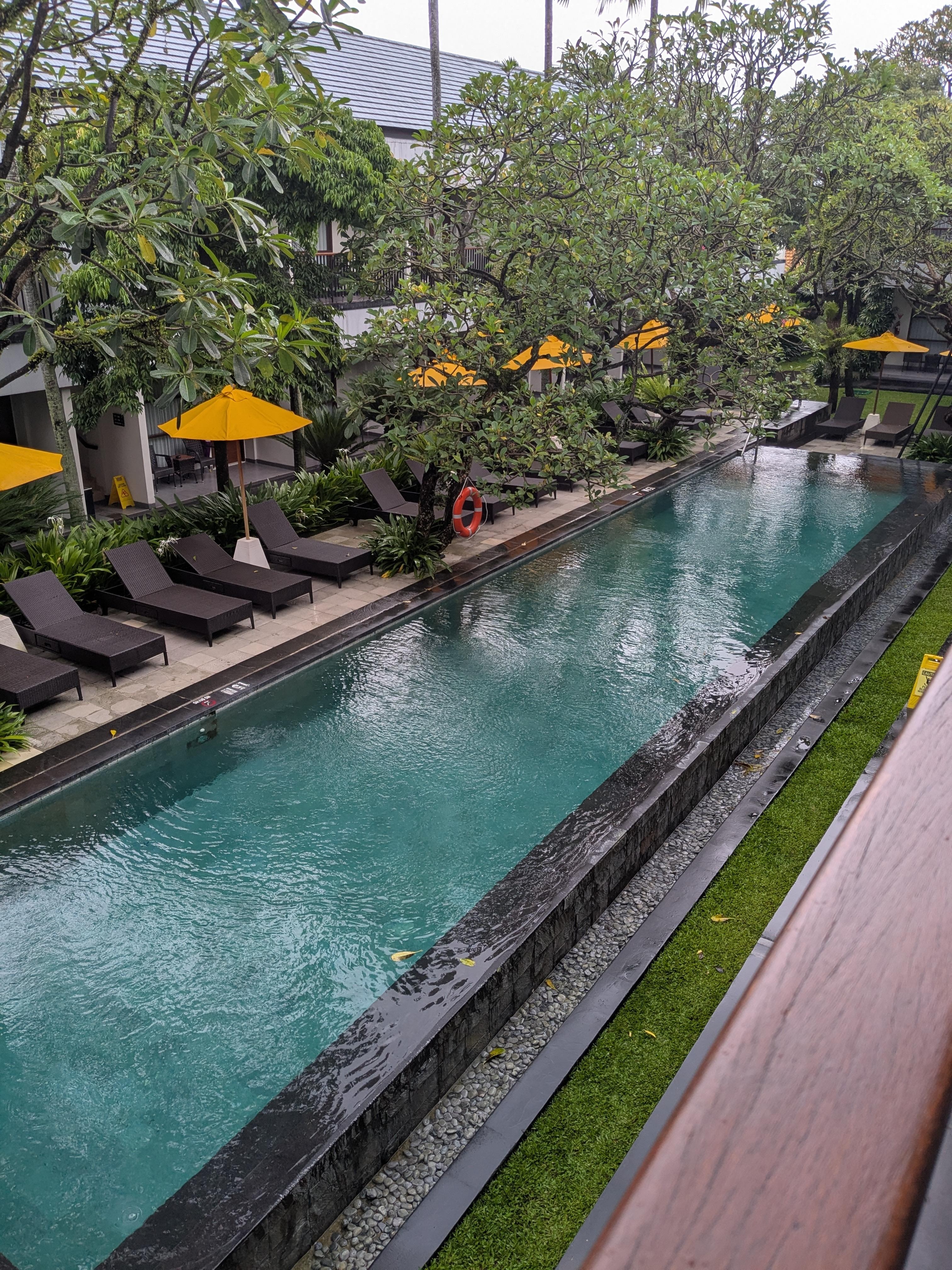 View from my lanai. The sound of the rain was so relaxing. 