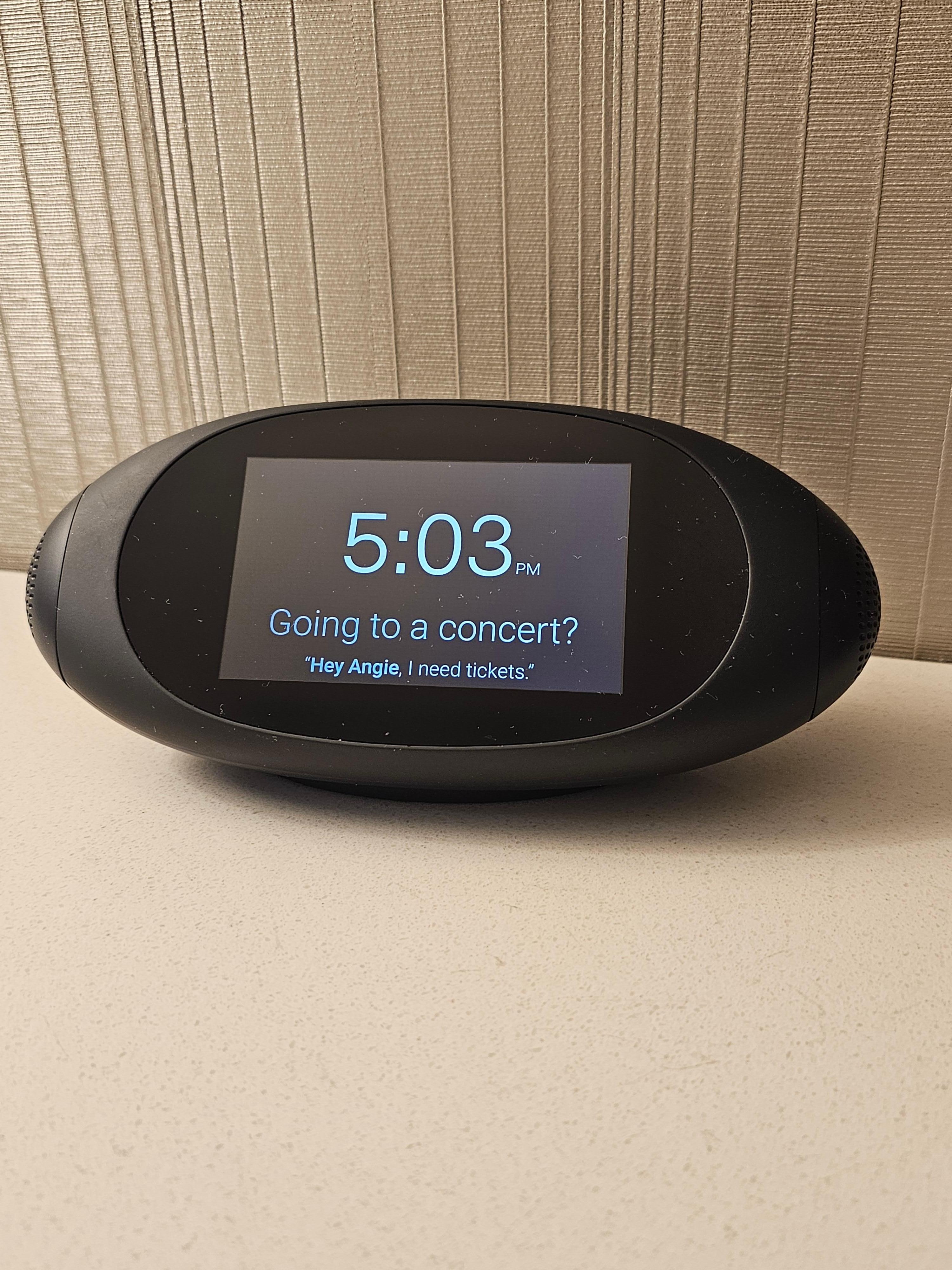 Very neat clock/Alexa style thing. Very helpful. Also the kids loved asking it questions 