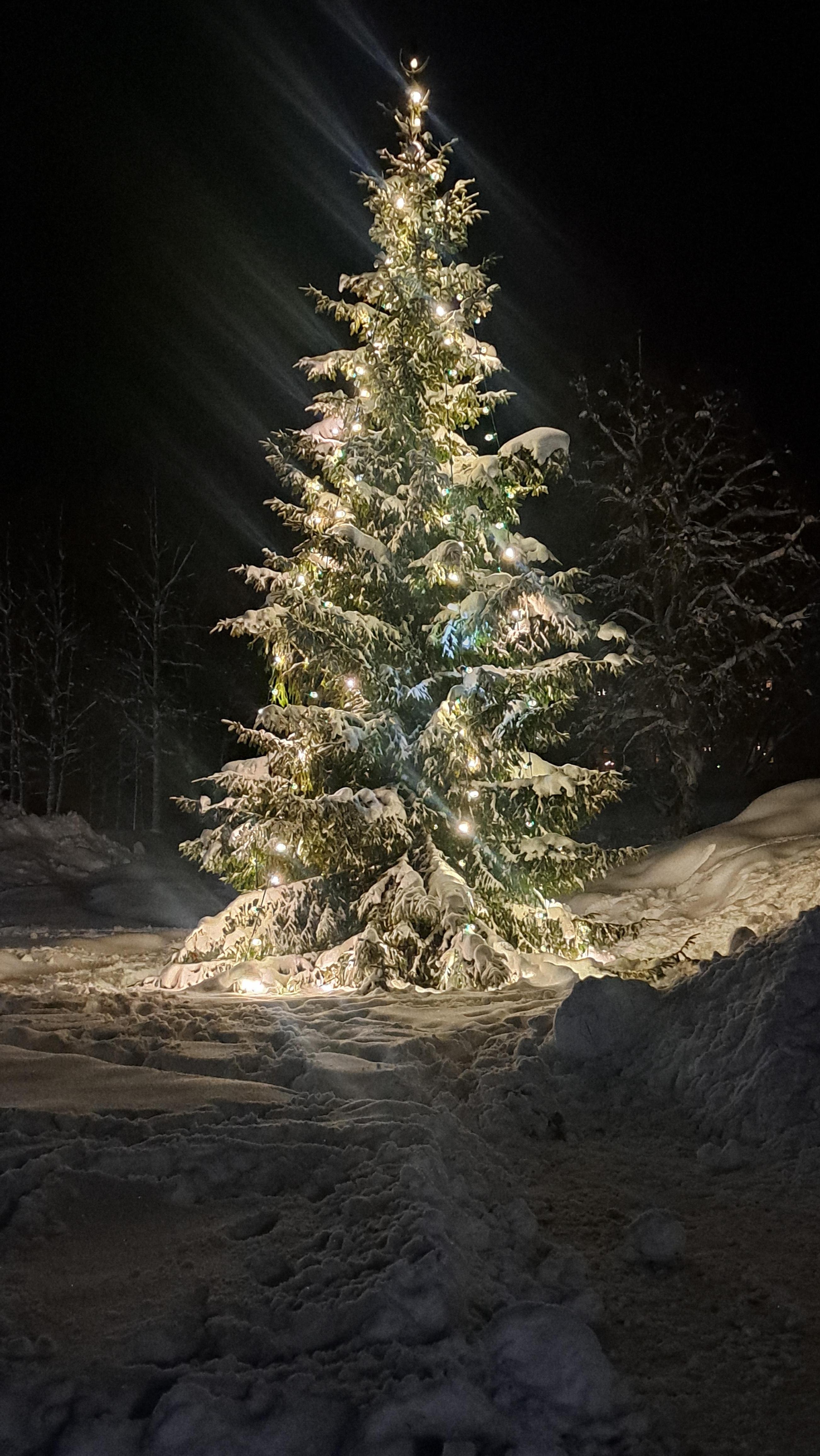 Julestemning i sentrum