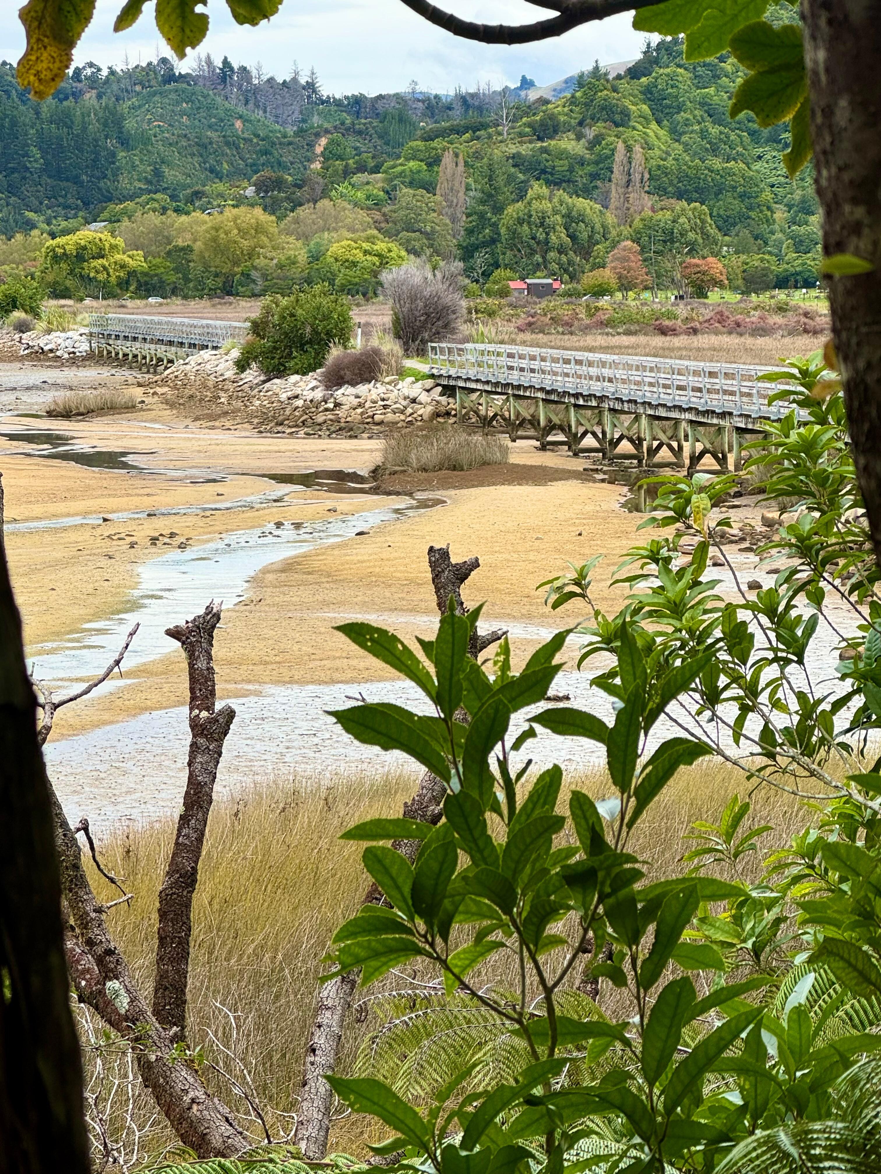 Abel Tasman Track over Estuary