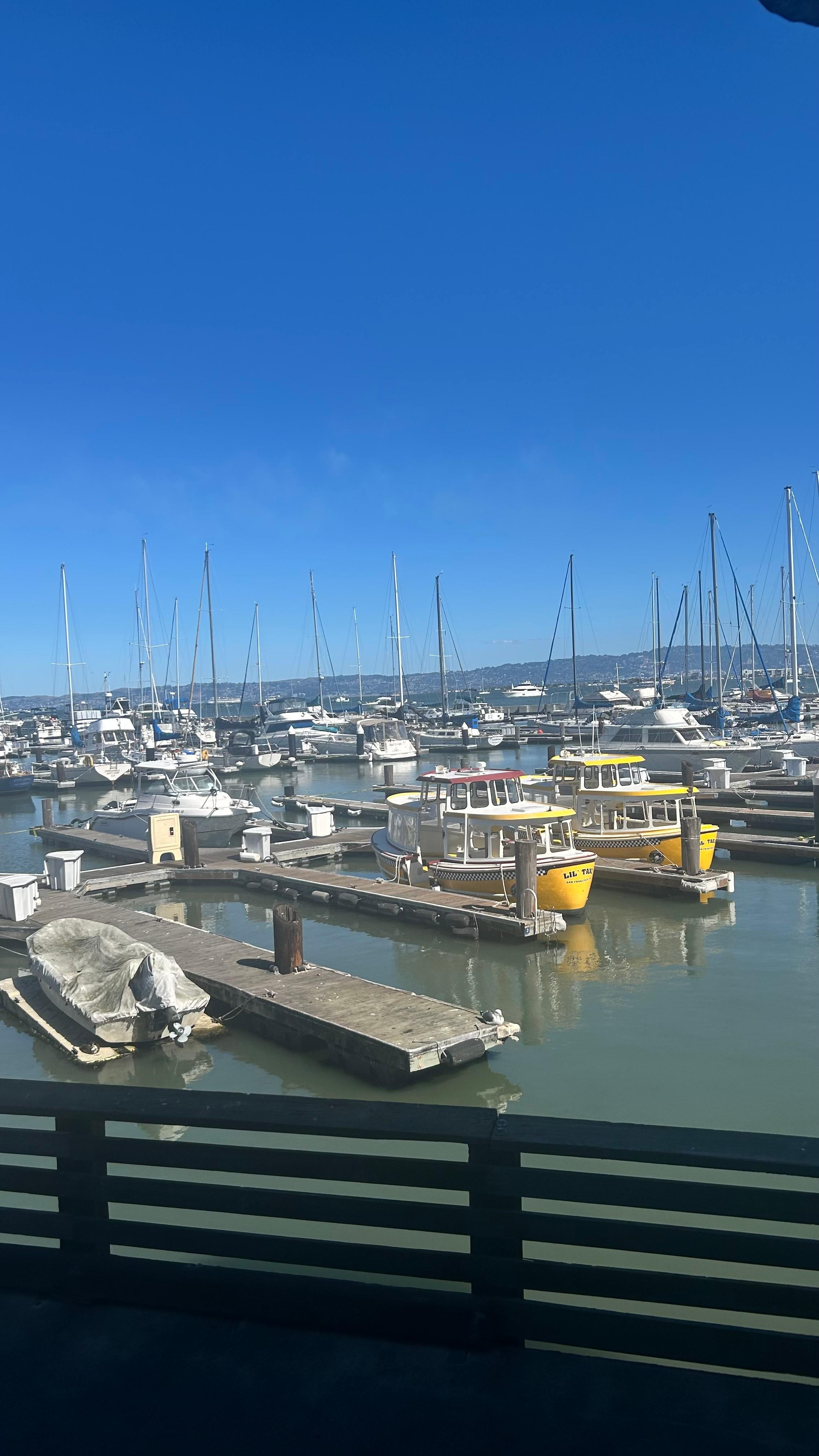 The marina in Pier 39