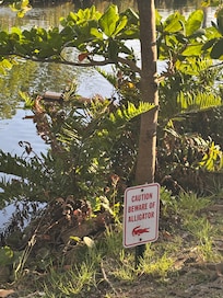 We did not see any gators, but we definitely obeyed the sign.