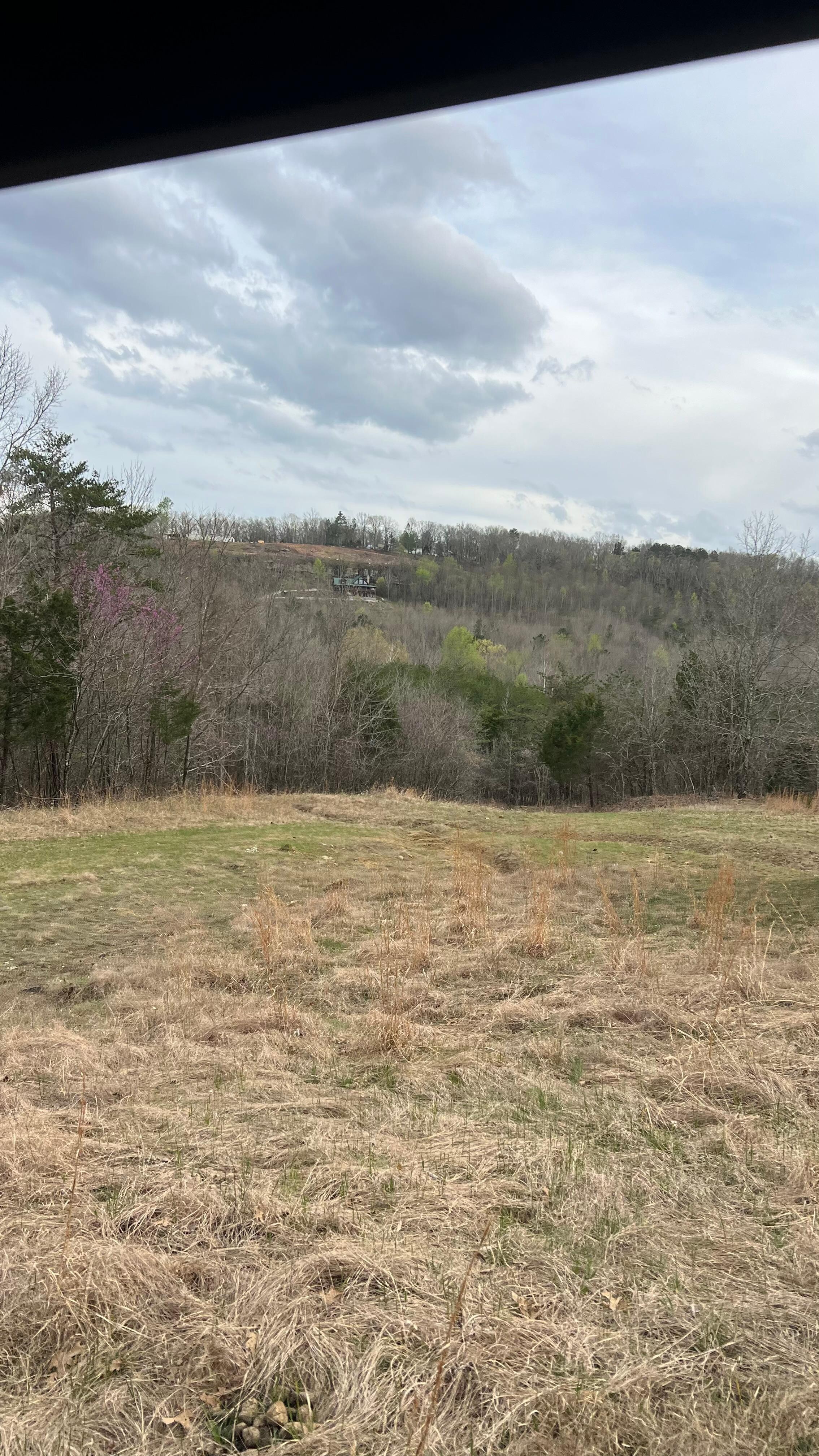 A view looking back towards the cabin