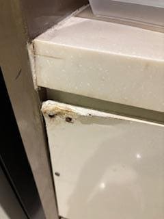 Water damage on kitchen cabinets