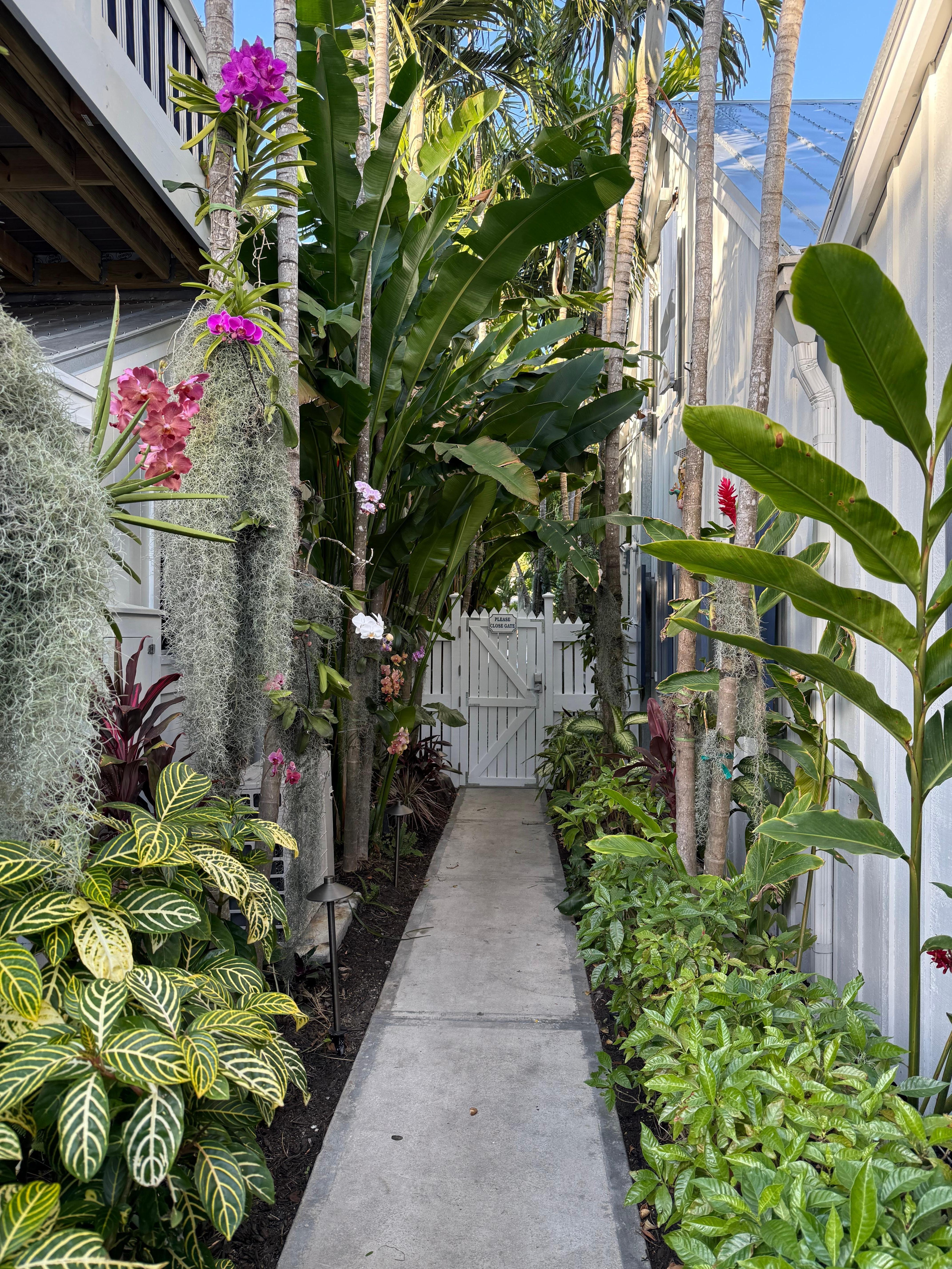 Beautiful walkway on property