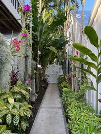 Beautiful walkway on property