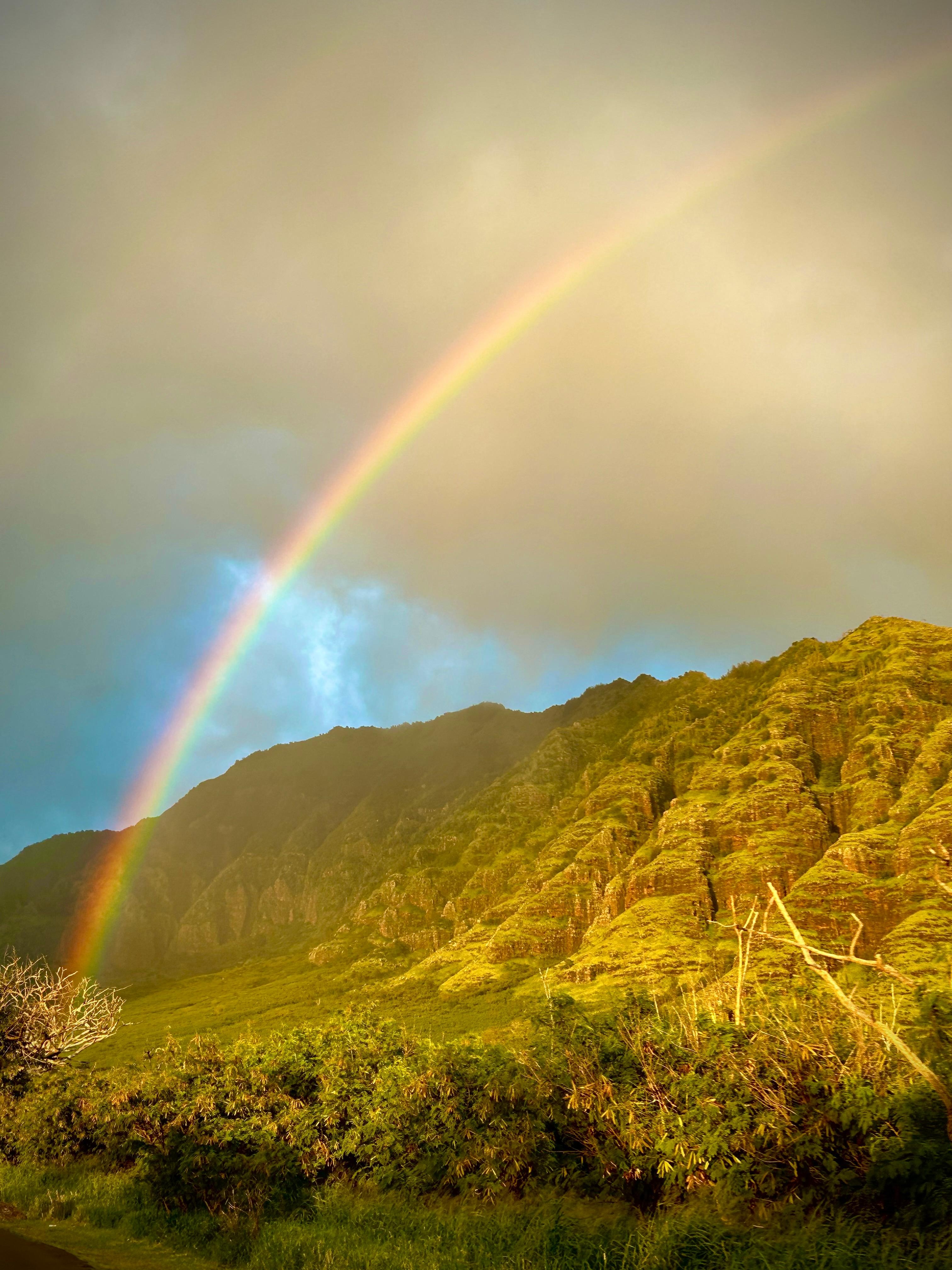 View driving into the gated community 
