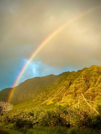 View driving into the gated community