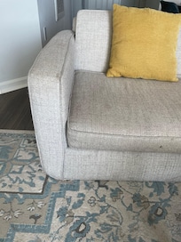 Couch. We put blankets to cover the dirt and odor.