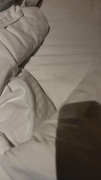 all these black dots are ants on pillow - screenshot taken from our videos