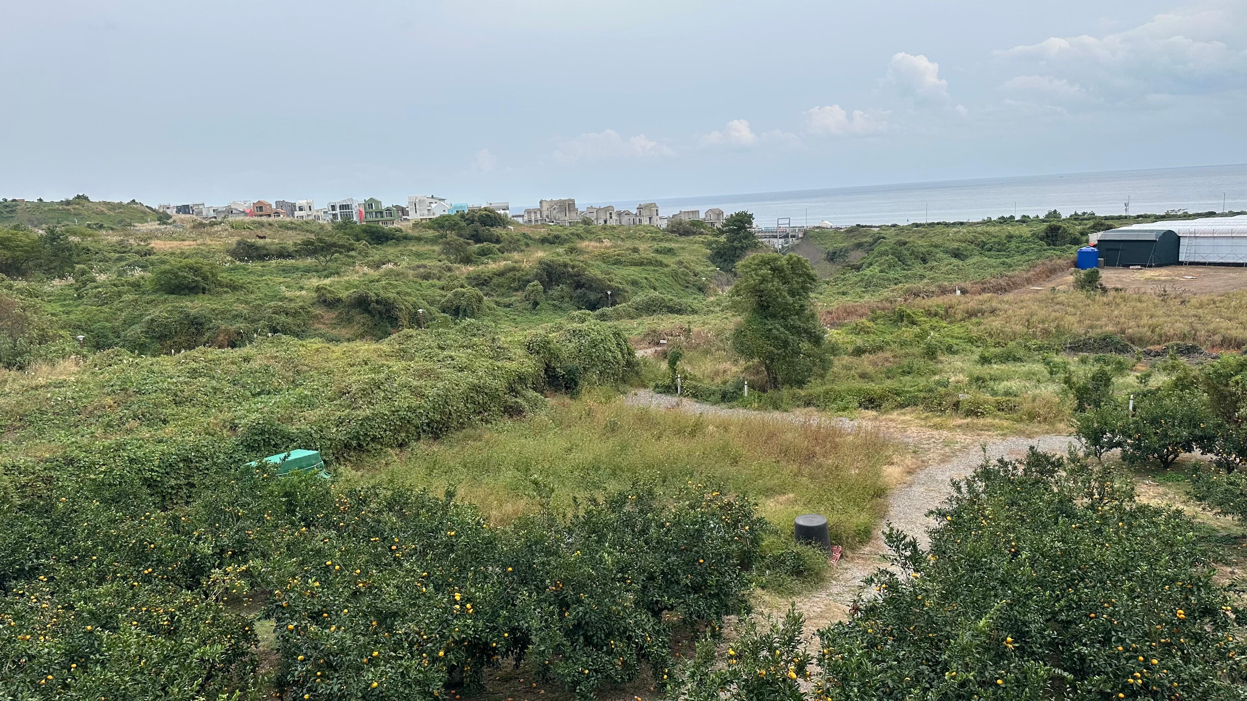 숙소에서 바라본 바다