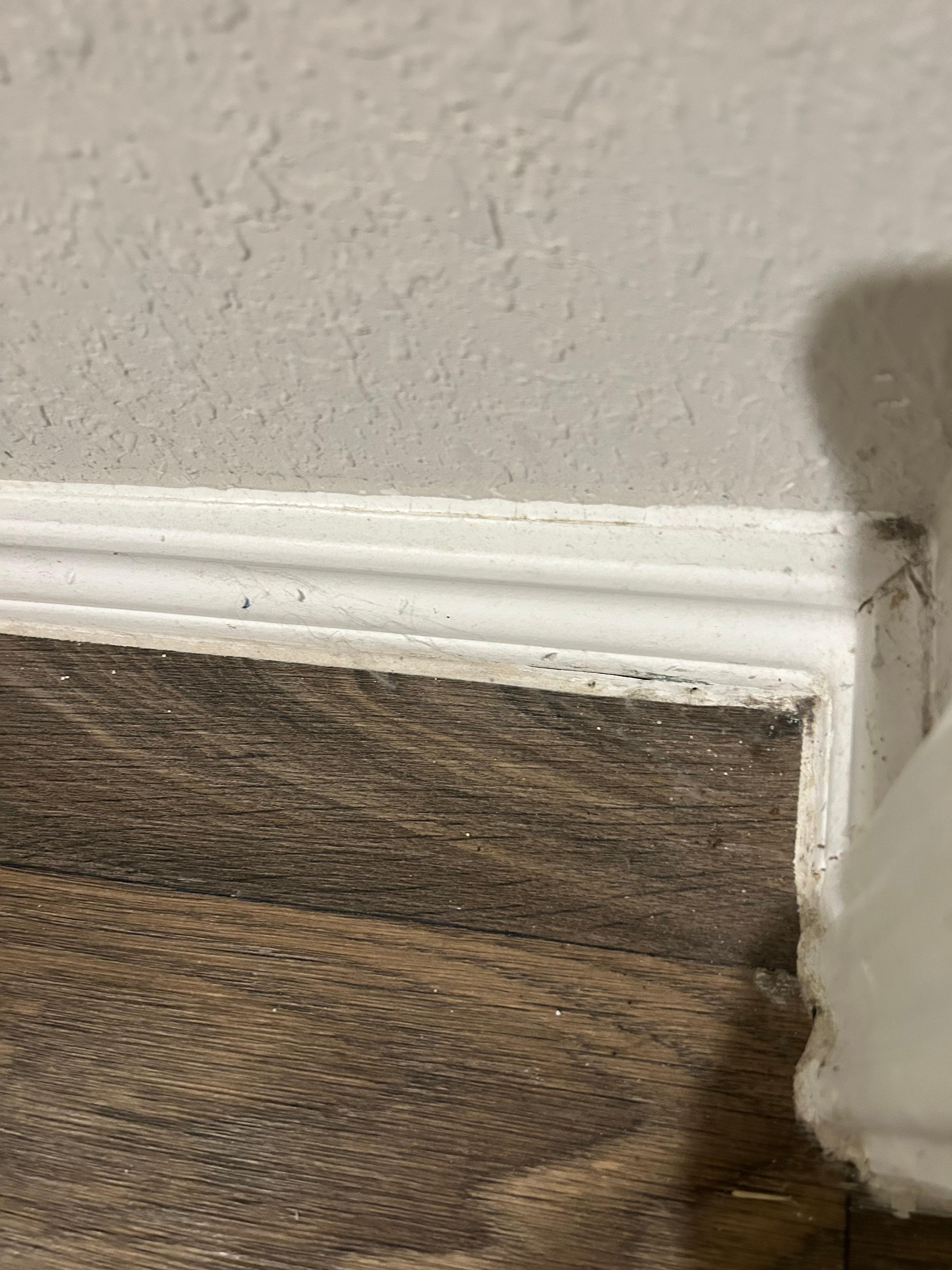 Dirty floor and cobwebs