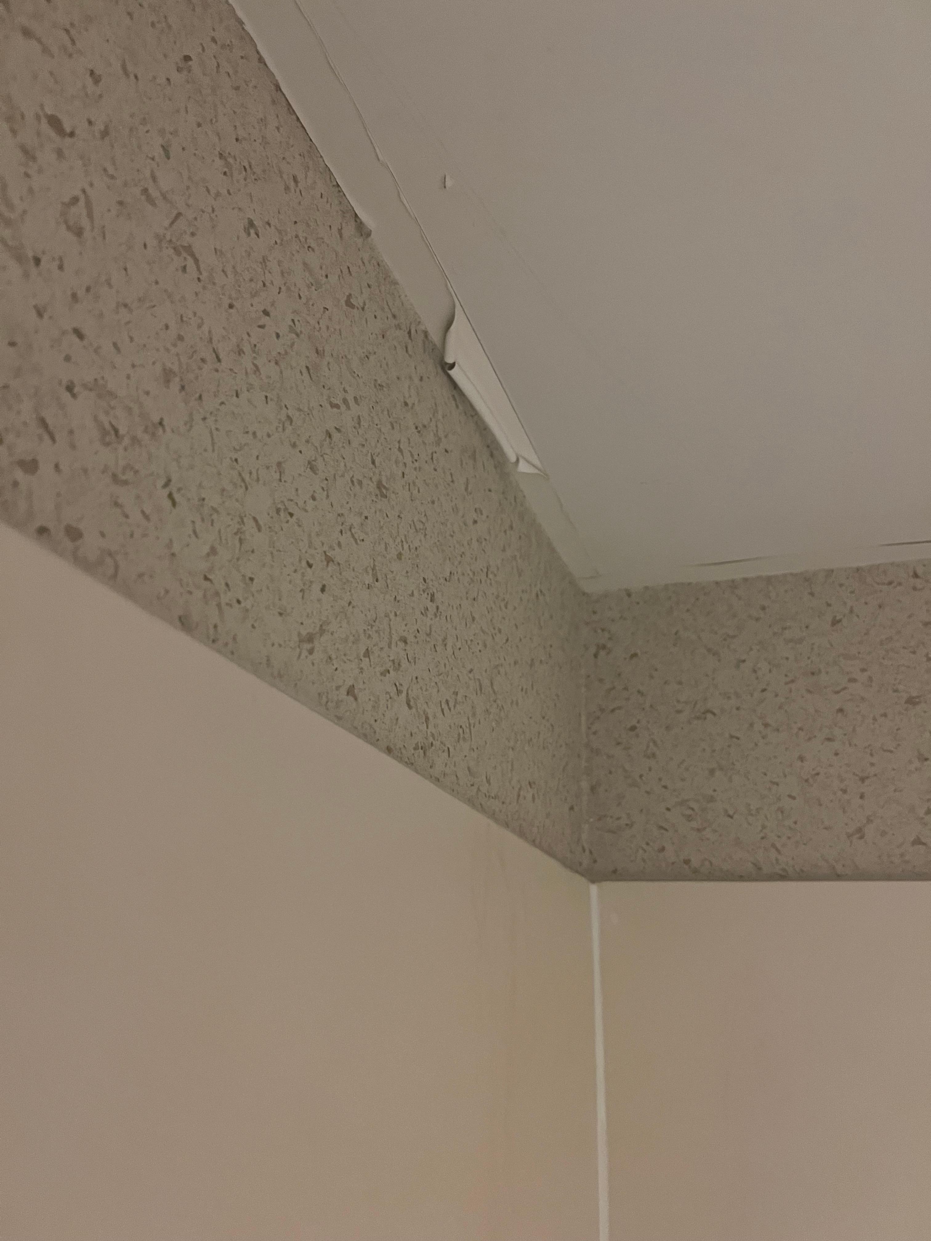 Back corner in shower