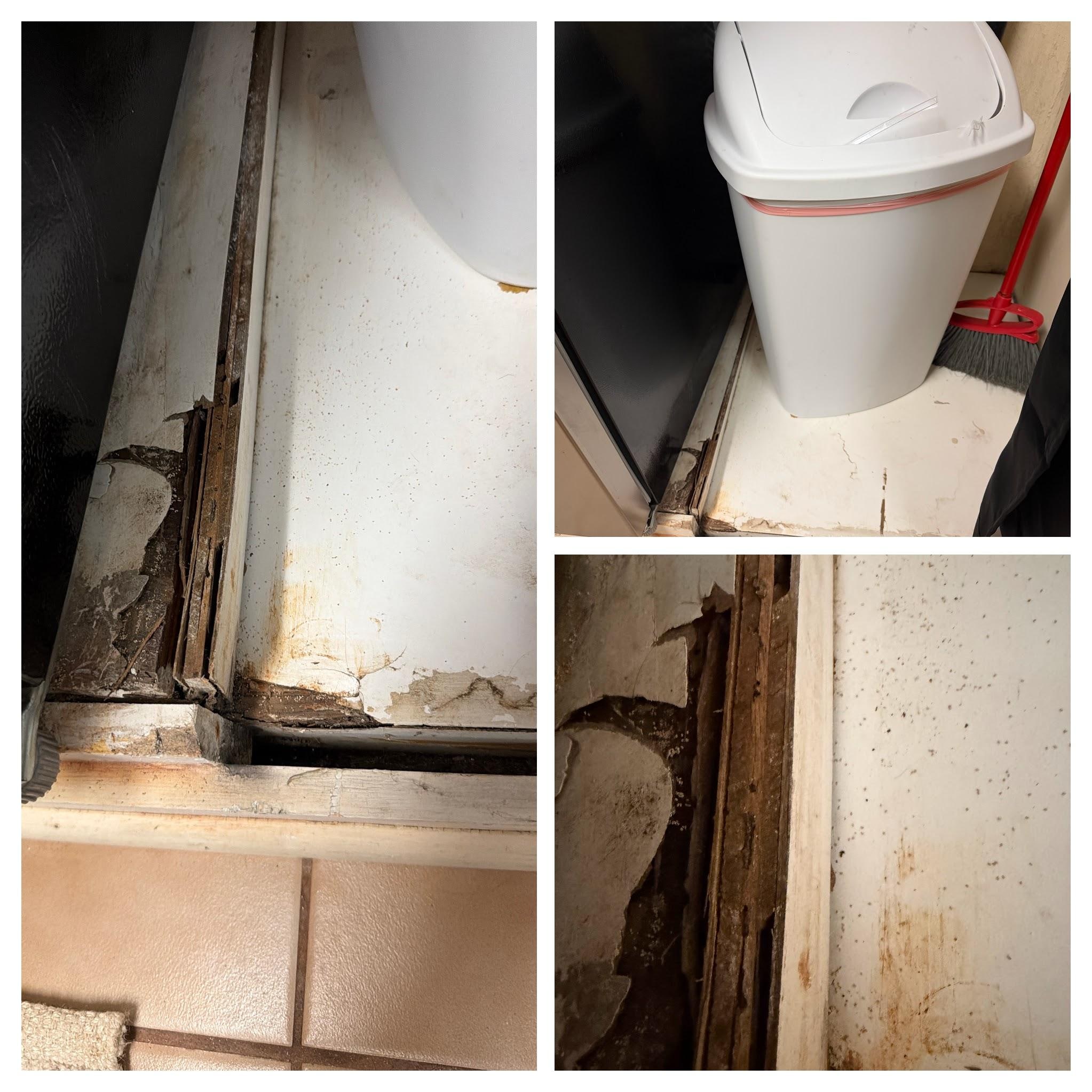 Water Damage - 
Severe water damage in the former washer/dryer area. Baseboards and framing show rotting, peeling, and dark staining from prolonged moisture exposure.
