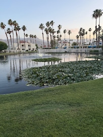A lake to boot. A great place to stay.