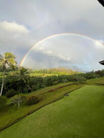 Rainbows every day