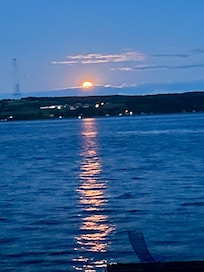Moonlight on the lake