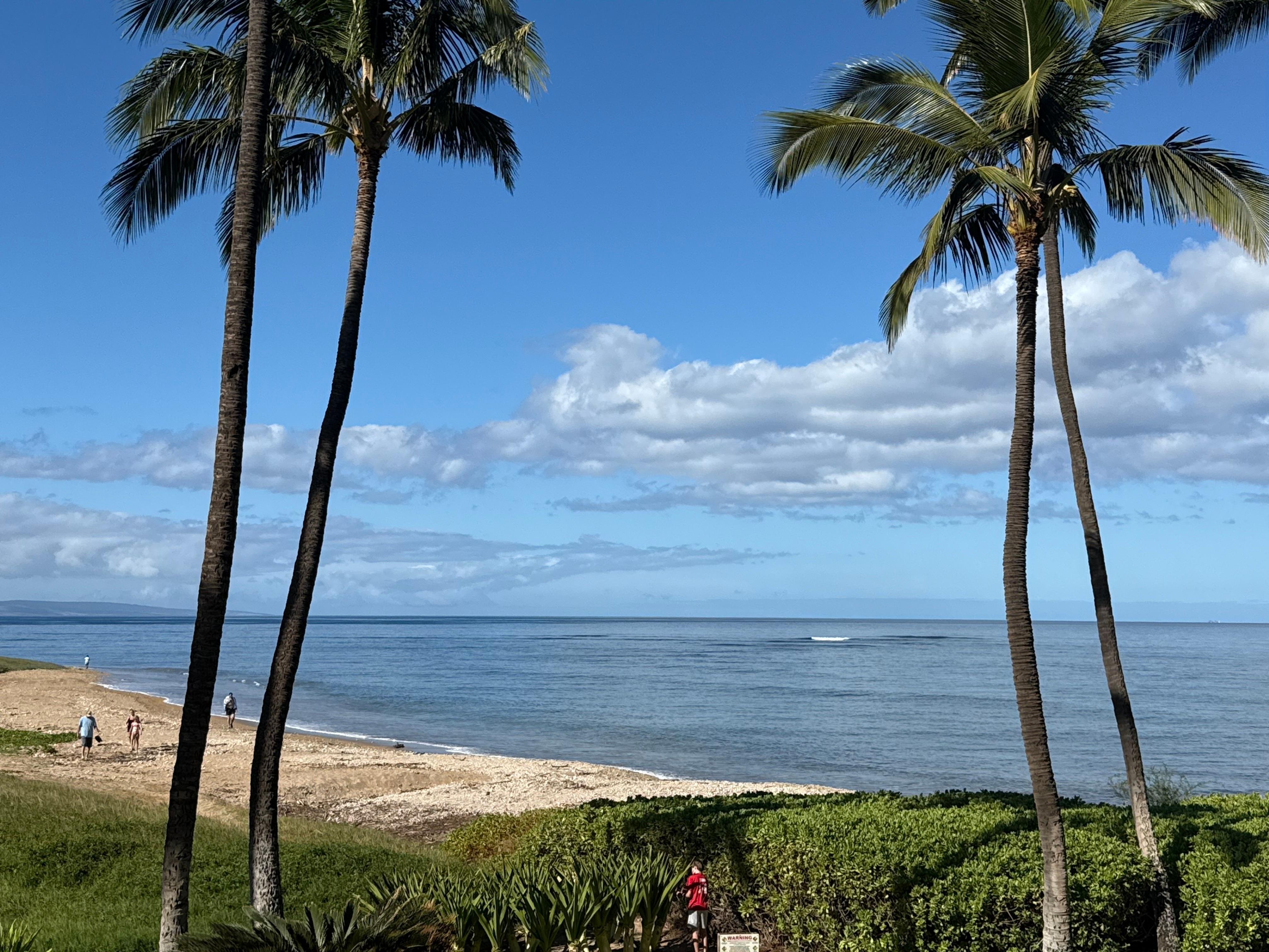 Beach/ocean from the unit. 