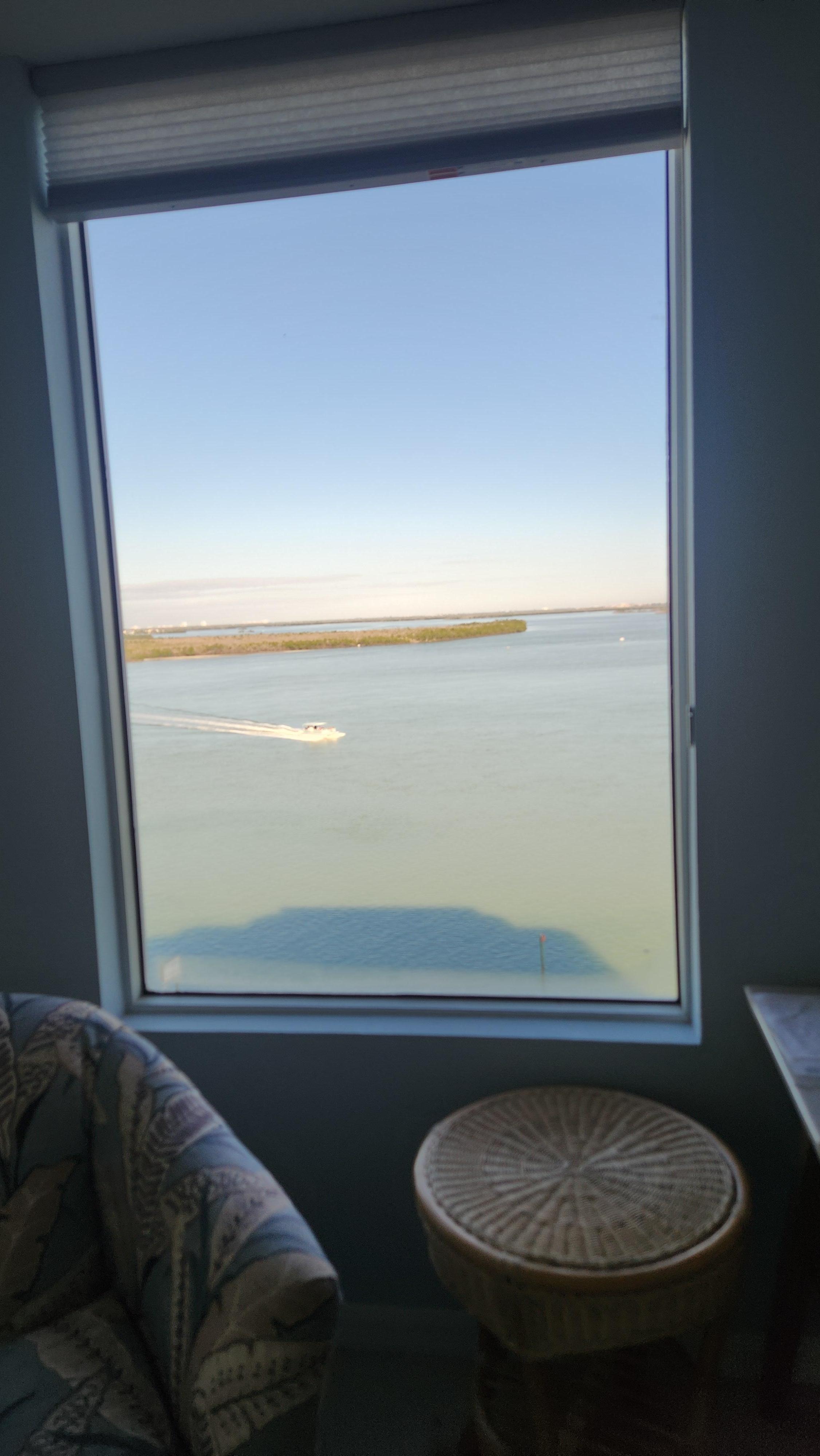 Looking out the livingroom window