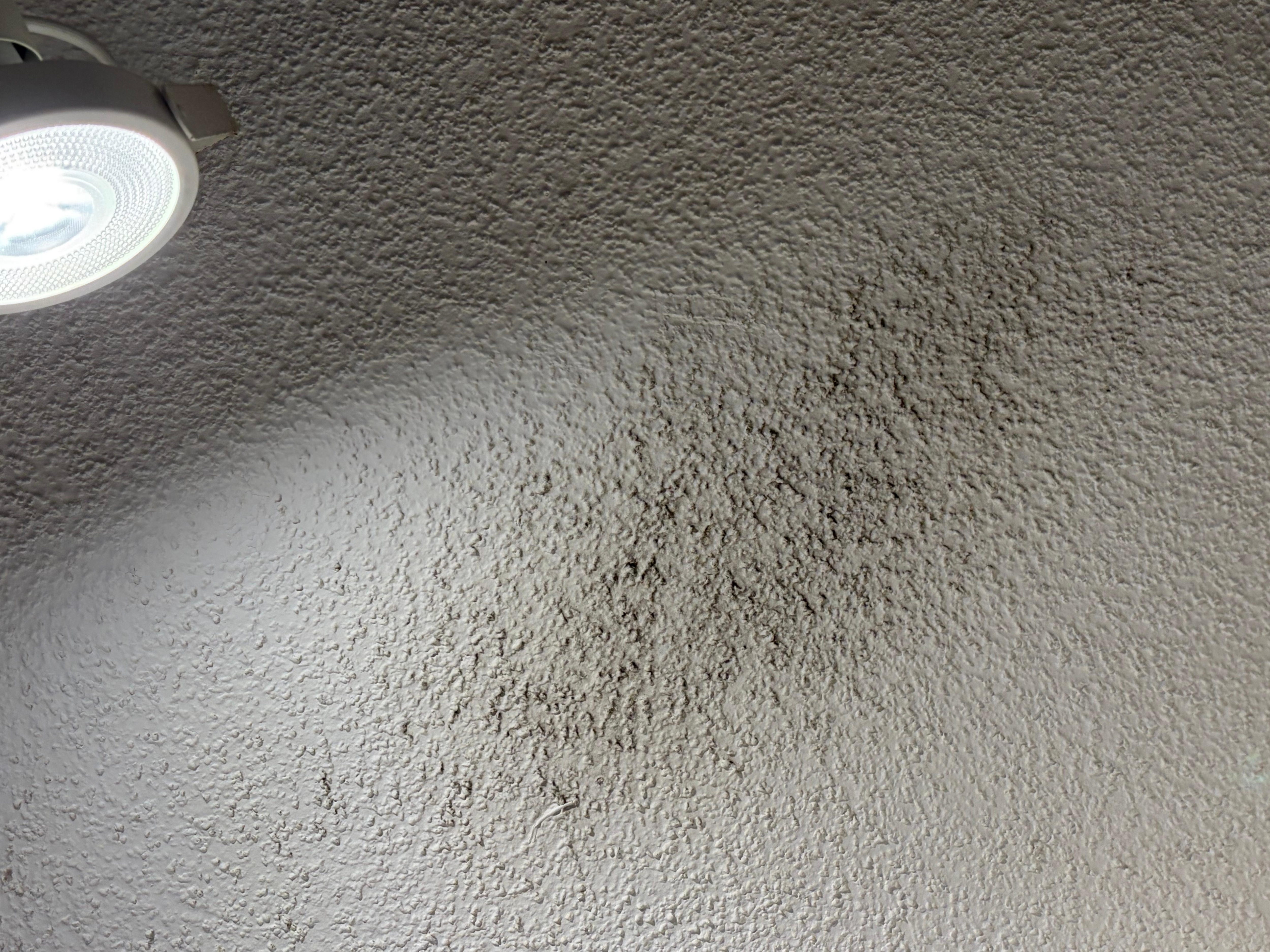 Black "mold" visible on the ceiling above the TV