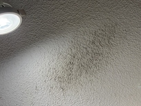 Black "mold" visible on the ceiling above the TV