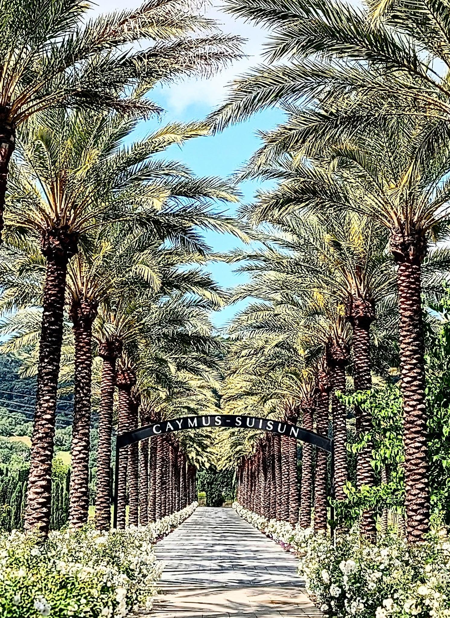 Caymus-Suisun Winery👍