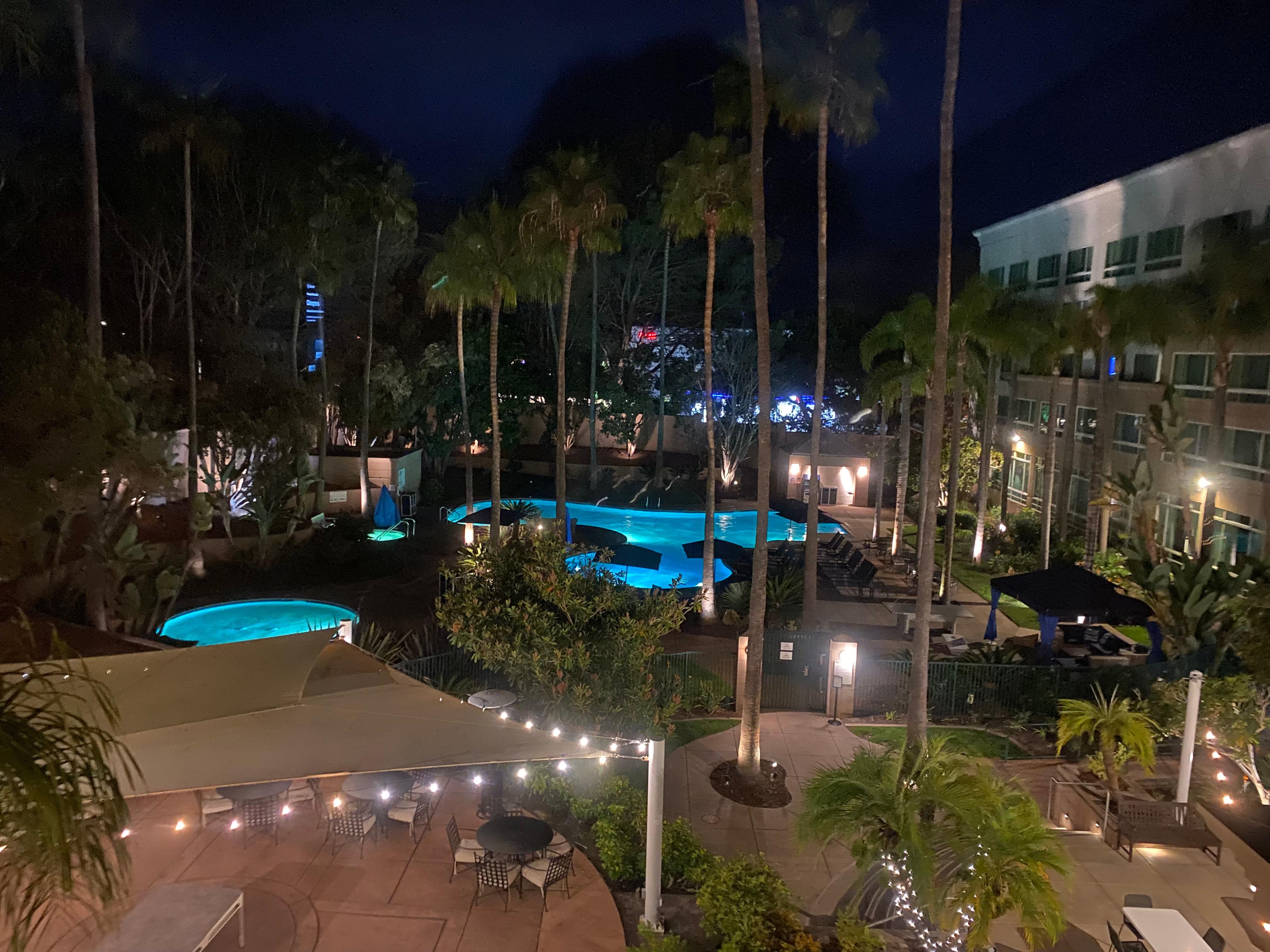 Pool view w tall palm trees outside my window. Peyton the front desk girl made me feel so special. Many thanks for the perfect ending of my 70 th bday ❤️