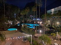 Pool view w tall palm trees outside my window. Peyton the front desk girl made me feel so special. Many thanks for the perfect ending of my 70 th bday ❤️